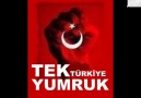 ** Türk'e durmak yaraşmaz, Türk önde Türk ileriii ** [HQ]