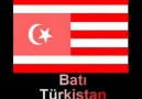 Türk Toplulukları Bayrakları