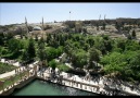 URFA MÜZİGİNİ SEVENLERİN YERİ