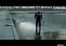 Vete e kerkoi....