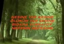 Volkan Konak - Nefesin nefesime