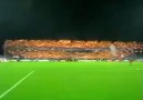 Voov Tribün Showa Bakın (Harika)