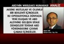 Wikileaks = Yeni Yahudi Oyunu [Yemeyiz Artık Efendiler!!]