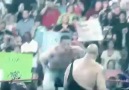 WWE Freestyle - Brand New Day [HD]