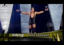 WWE Survivor Series 2010 - Highlights [HQ]