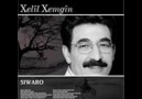 XELİL XEMGİN-RENG ESMERE