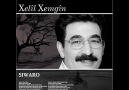 Xelil Xemgin -  Ziné [HQ]