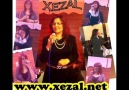 XEZAL _-_ YAR TEE!..