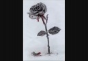 YAKUP EKİN- YALANMIŞ [HQ]