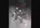 Yalandı Sözleri.... [K-Rap].