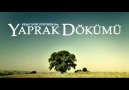 Yaprak Dükümü Dizi Müziği - Dağıldık Sonunda [HQ]