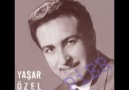 Yaşar Özel - Bir Dünya Yarattım ..