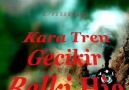 YAVUZ BİNGÖL-kara tren