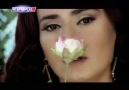 Yıldız Tilbe - Gül Zamanı