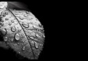 Yiruma - Kiss The Rain. [HQ]