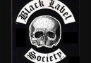 Zakk Wylde - Sold My Soul