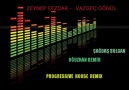 Zeynep Dizdar - Vazgeç Gönül ( Progressive House Remix ) [HQ]