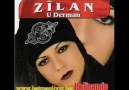 ZİLAN-DOTMAMI