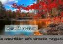 Ahiretlik sevabım - Yasin Suresi