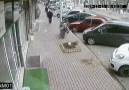 Alican Soysüren - Neden Bu kadar kötüsünüzAçıklamayı...