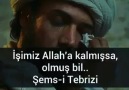 Allahım Kırılan Kalp benim Kalbim olsun... - Nasip Der Susarsın