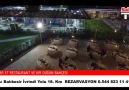 Balıkesir Tv - Yeni Tat Yeni LezzetBalıkesir İvrindi Yolu...