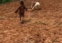 Balıklıgöl - D D D
