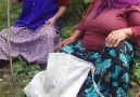 Bizim Kız - Fındık zamanı dedikoduları.Instagram...