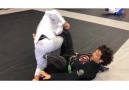 BJJ Insider - Advanced lapel guard