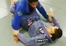 Bjj Memedom - Fake Kimura attack with armbar finalization