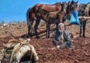 Erzurum Oyun Havaları - Sensizlik zormuş gardaş zalım gurbette..