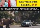 Halkın Sesi - Sözün tükendiği yer.