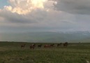 İspir Sayfası - Öztoprak Mahallesi (Muhşen) Cangı Dağı...