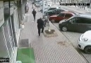 İzle Bakalım - Bi insan bunu neden yapar ki