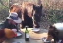 Jos Luiz Zei - nada melhor que almoçar com os amigos neh...