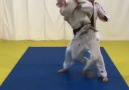 JUDO Spirit - Good JUDO