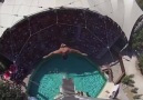 Kadın&ampAdam - Diving from an 82 foot high staircase!
