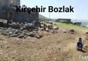 Kırşehir Bozlak - Gönül Ne Gezersin Seyran Yerinde