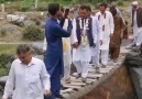 Muhammad Usman - ...