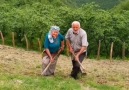 Nasıl Bir Sevdaya Düştün Vay Canım Vay -... - Kırıkkale Saz Ve Söz