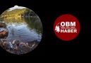 OBM Haber - ormanlarımız çöplük değil !