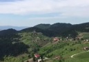 Ordu Takip - Turnalık