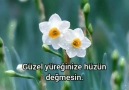 Özledim Seni - günaydın hayırlı cumalar