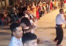 Payamcalı Gılfan Resmi was live. - Payamcalı Gılfan Resmi