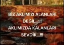 Reis - Aklımızda kalanları sevdik..