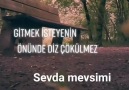 SEVDA mevsimi - Aynenn