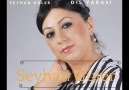 Seyhan Güler - Seyhan Güler Dil Yarası