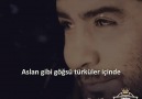 Sığınalım mı bu gece bi Ahmet Kaya... - Uzak Kentin Şiiri