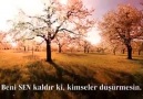 Sinop 57 Haber - Cuma Mesajları SANA AÇILAN ELLER...