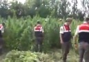 Sizlere bir askerlik anımı paylaşmak... - Malatya Radar Canlı